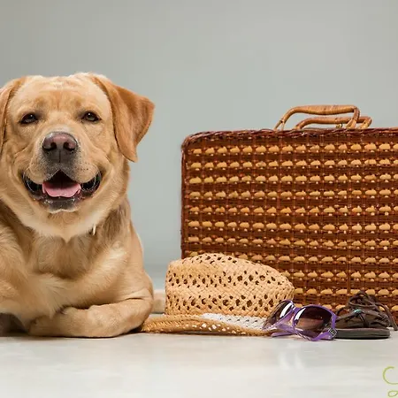 Haus Lavendel Hotel Ossiach